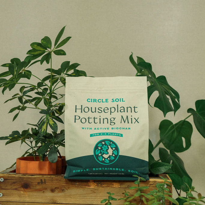Premium Houseplant Mix