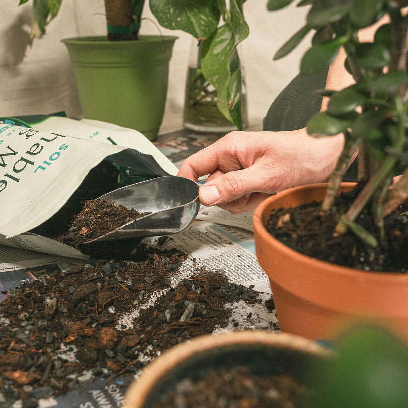 Metal Circle Soil Scoop