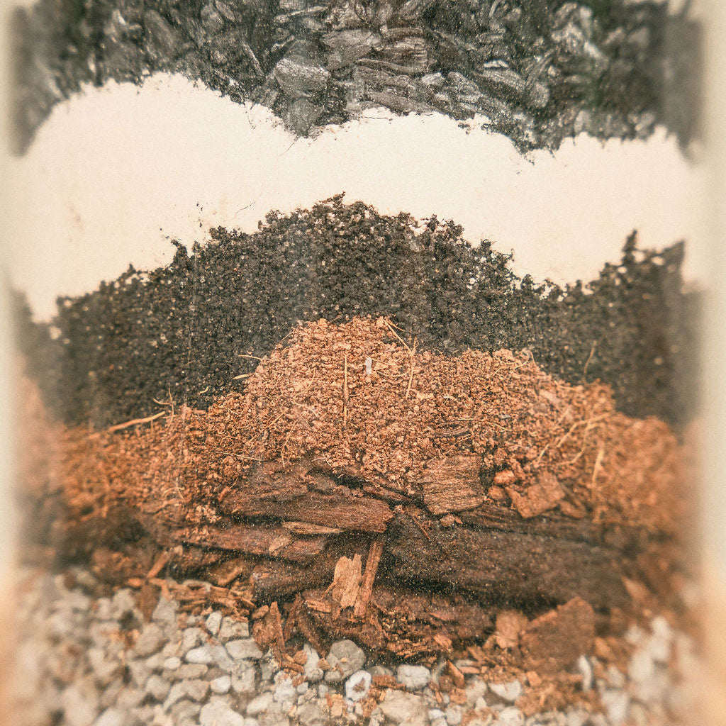 Houseplant Potting Mix - Cubic Foot Box