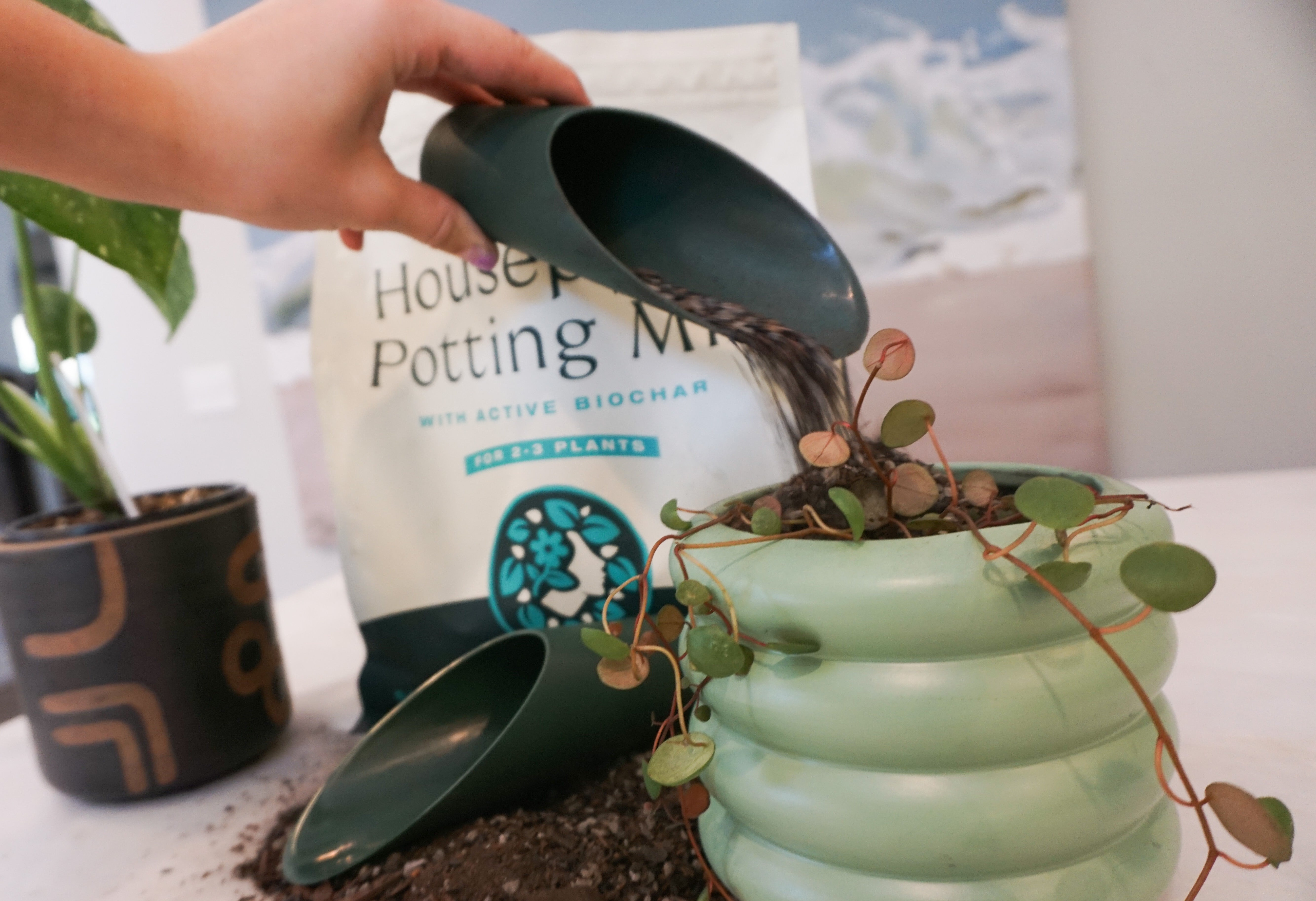 Circle Soil Scoop