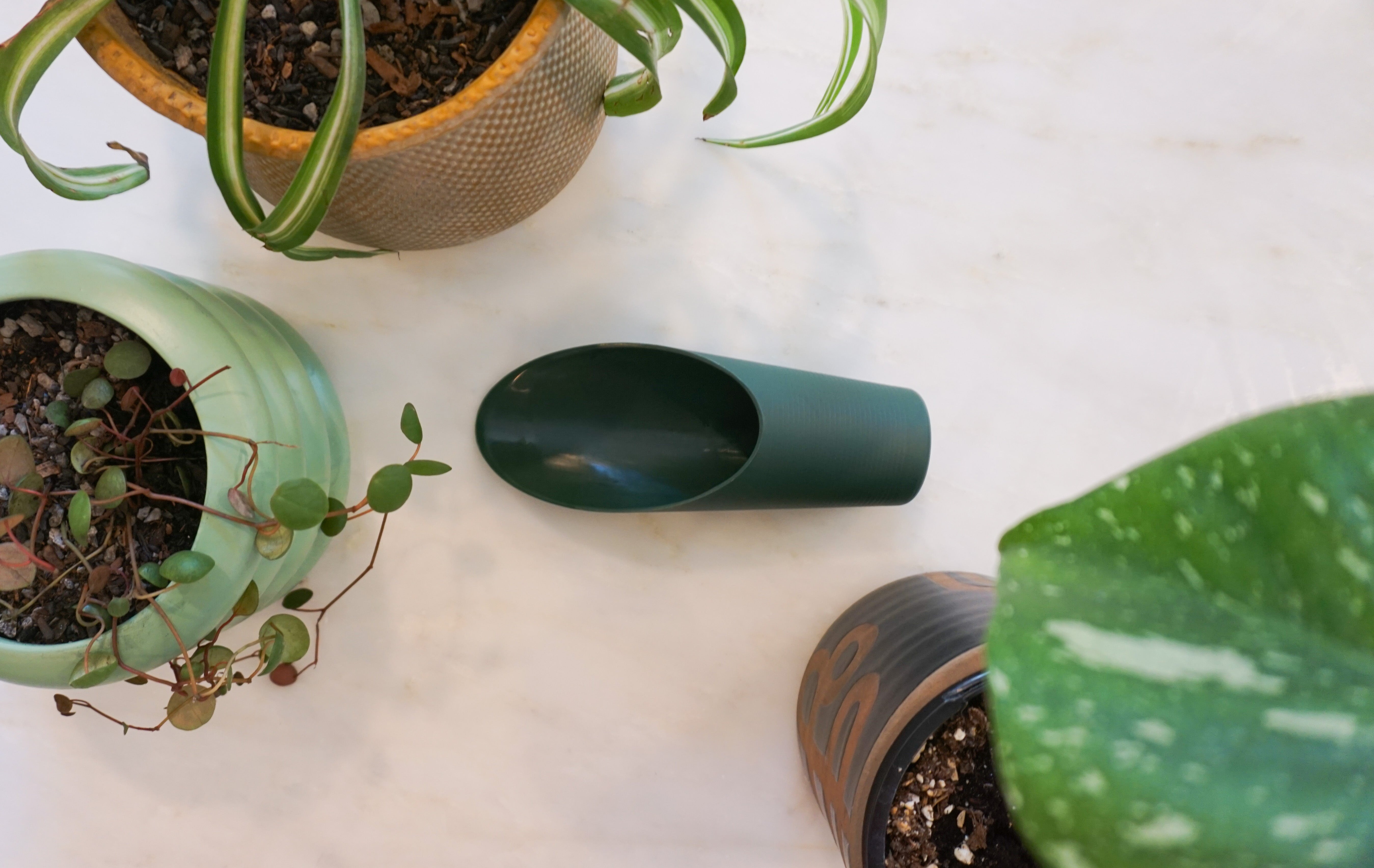 Circle Soil Scoop