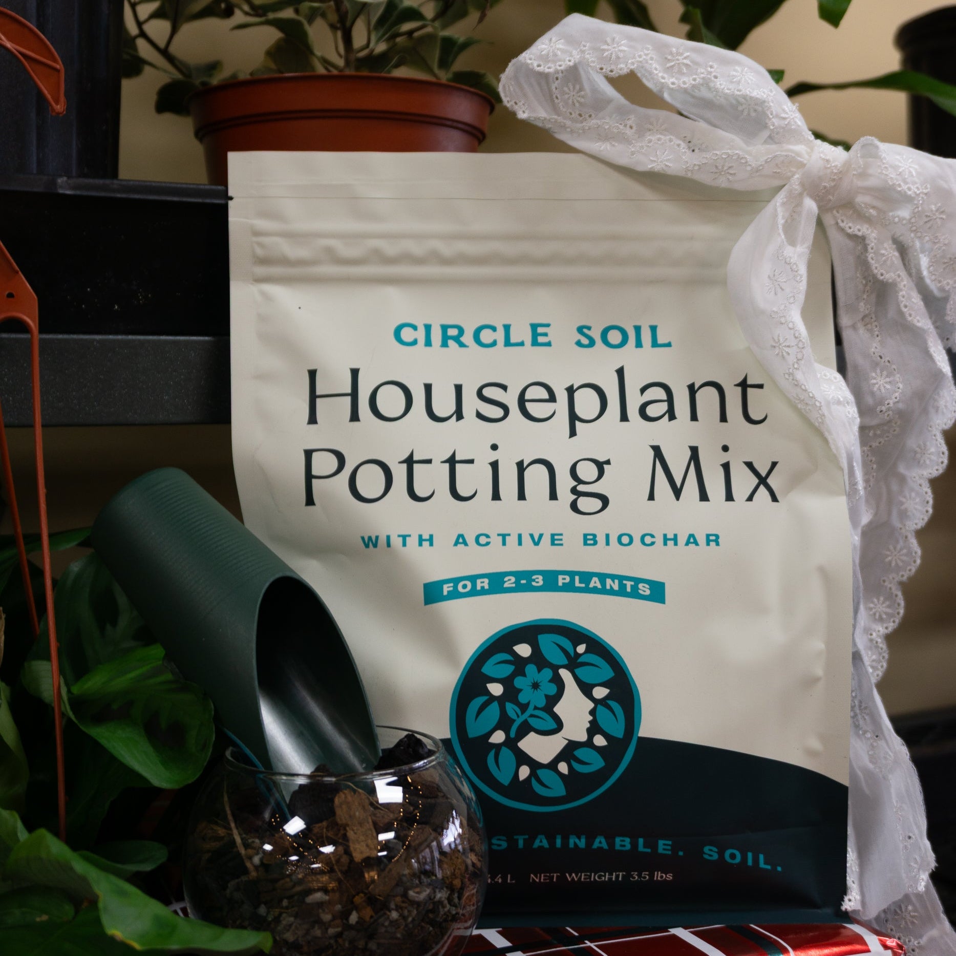 Bag of Circle Soil Houseplant Potting Mix with a plant and pot on a decorative box.