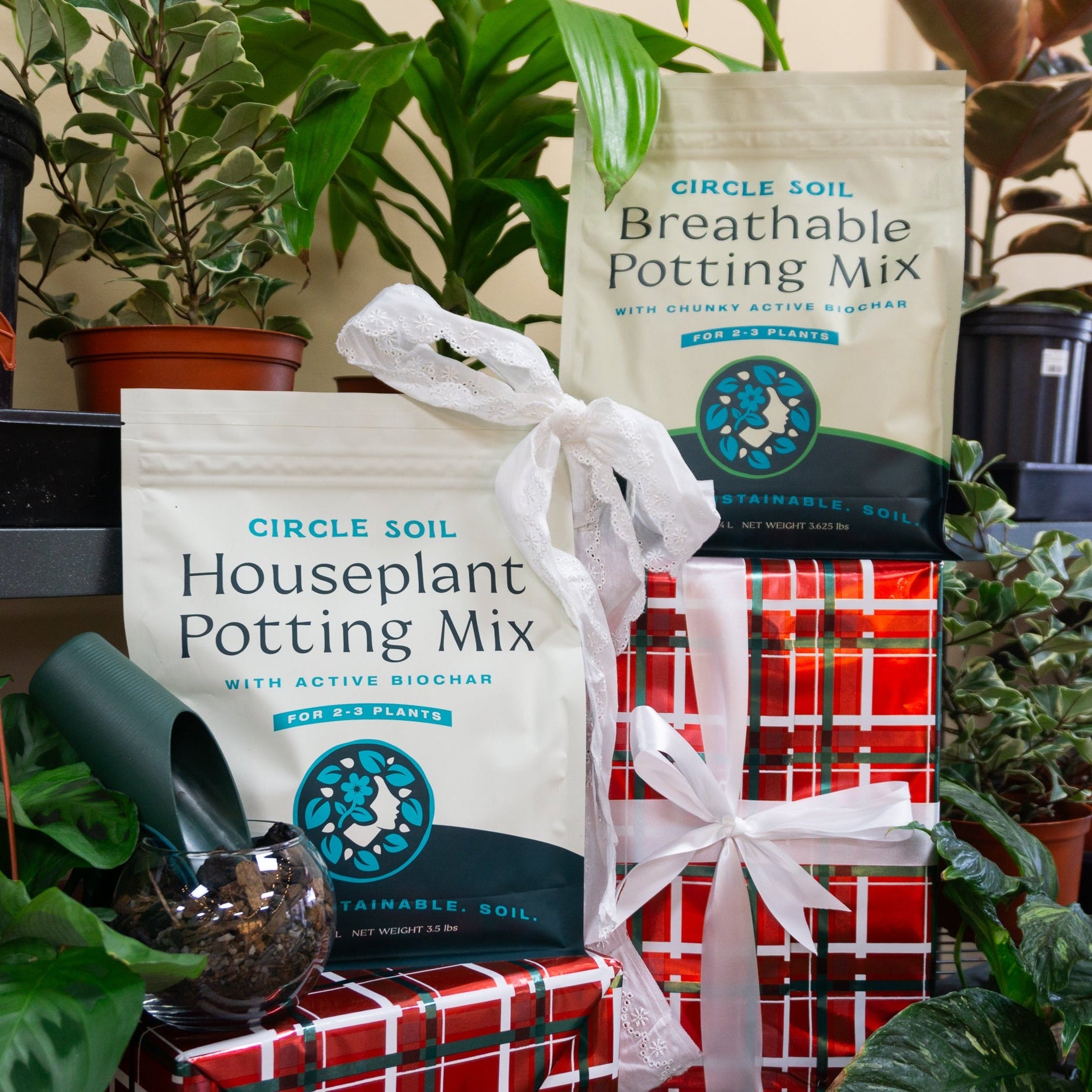 Two bags of Circle Soil Houseplant Potting Mix with a gift box in a plant-filled setting.