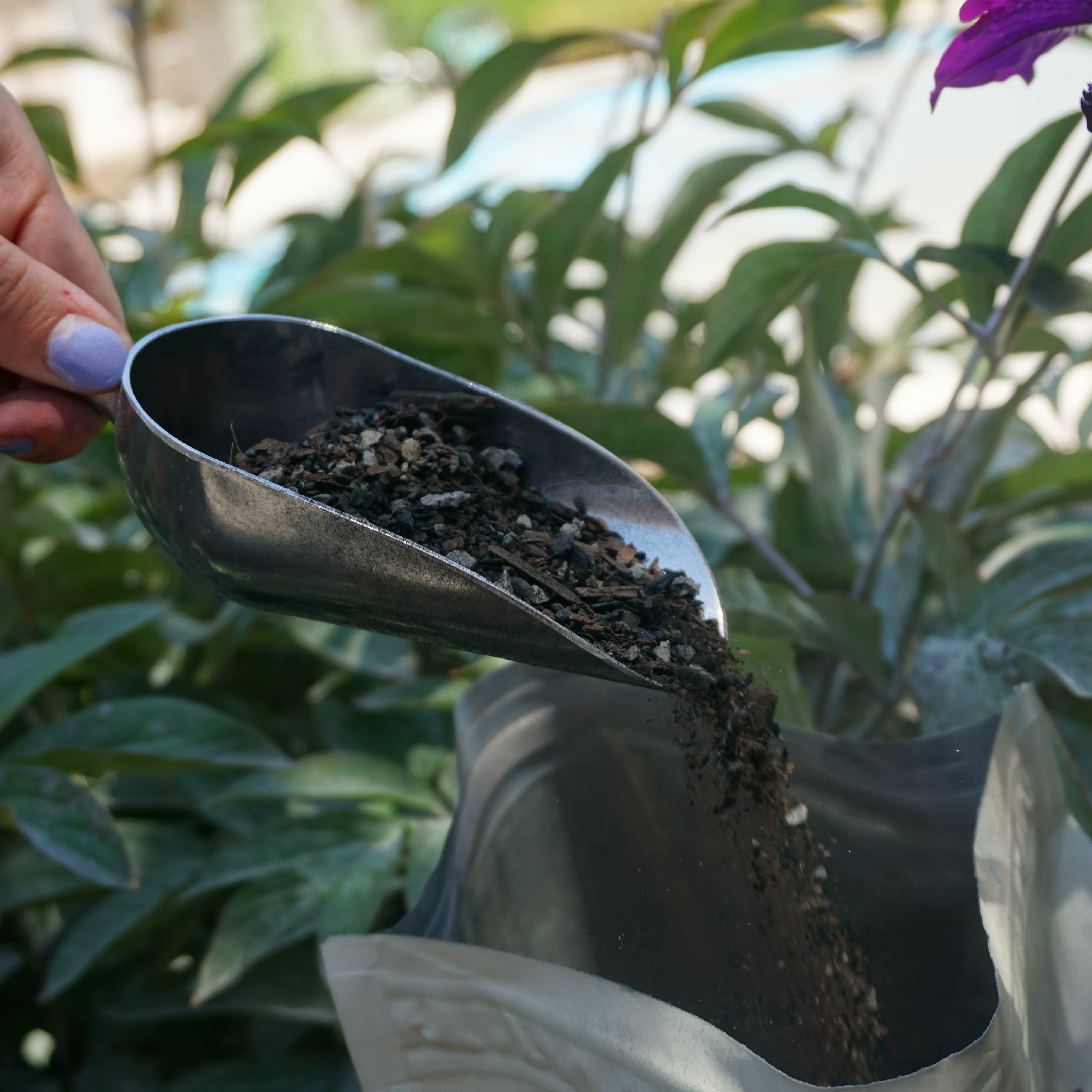 Metal Circle Soil Scoop