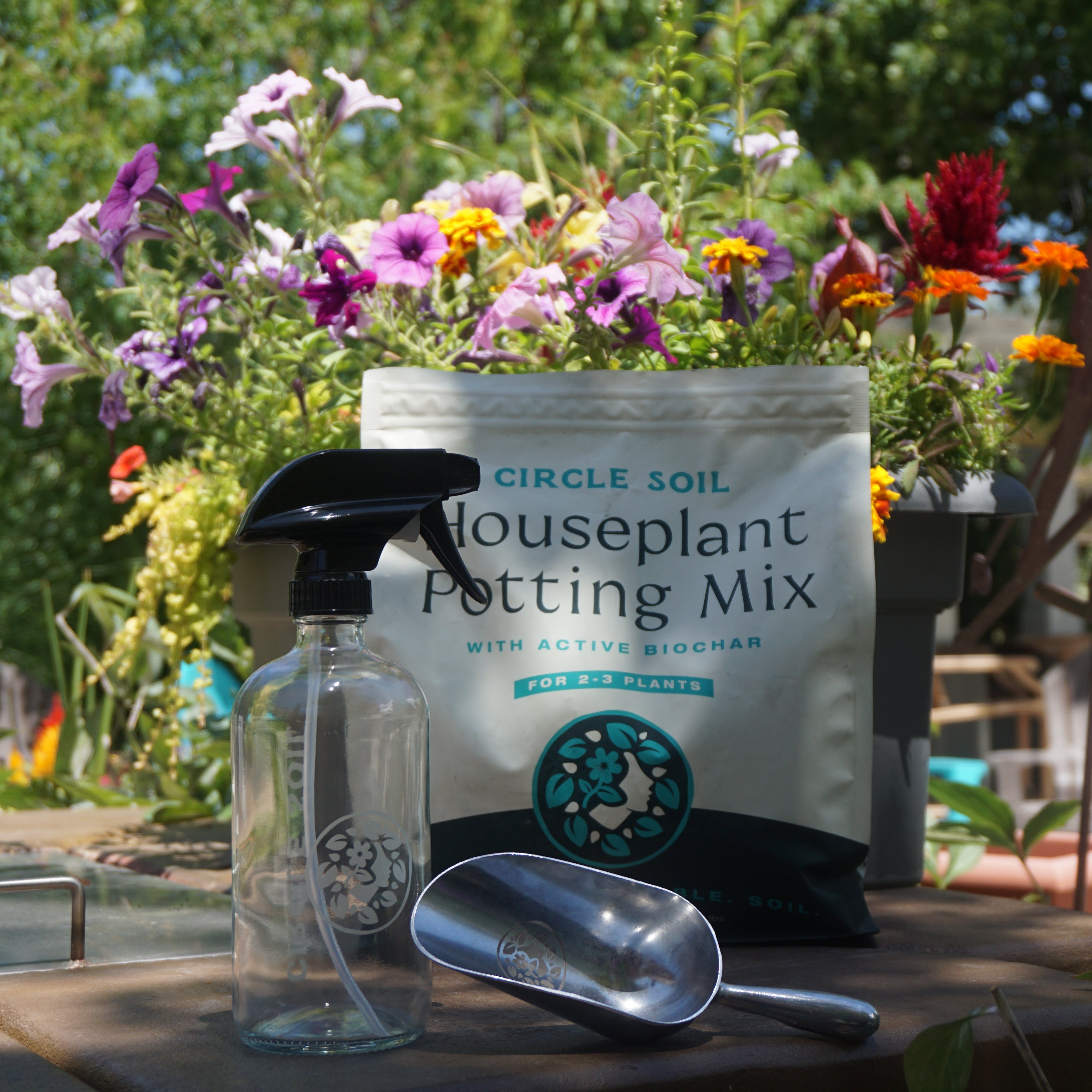 Glass Spray Bottle