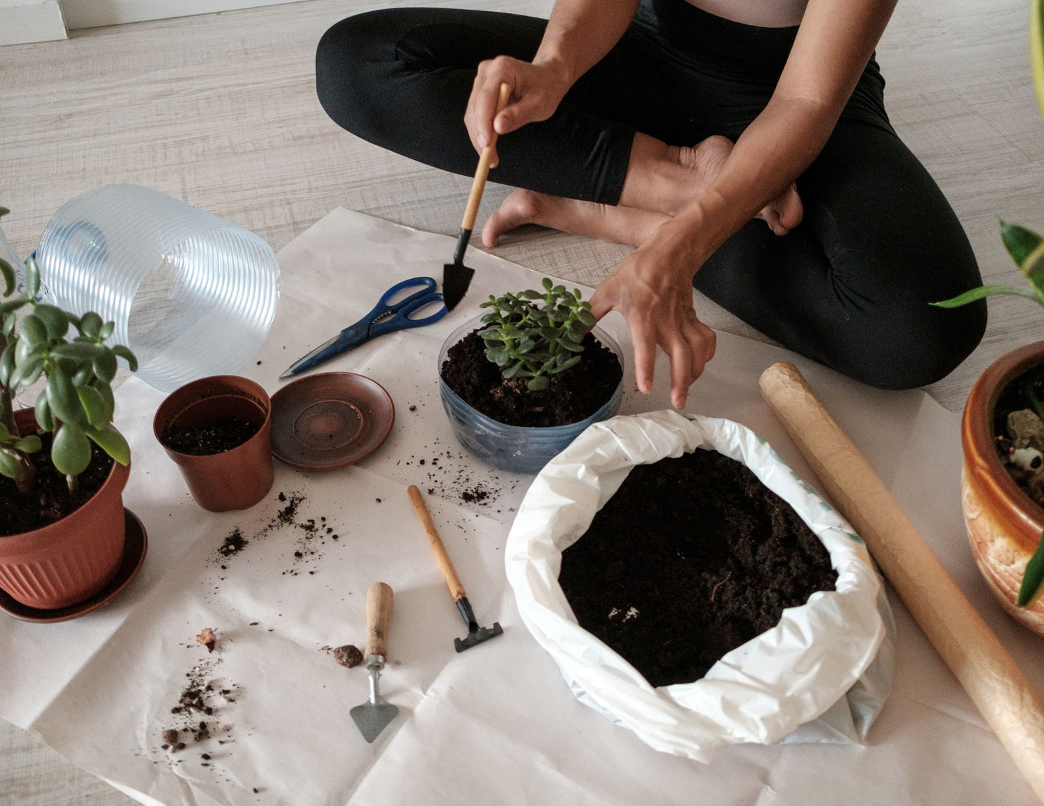 The Benefits of Using a Biochar-Based Potting Soil