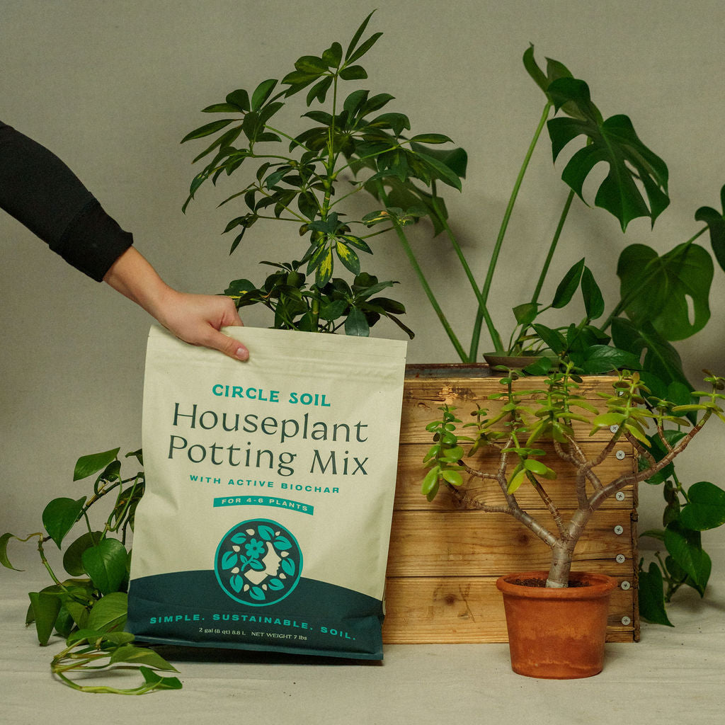 Premium Houseplant Mix [2 Gal.]