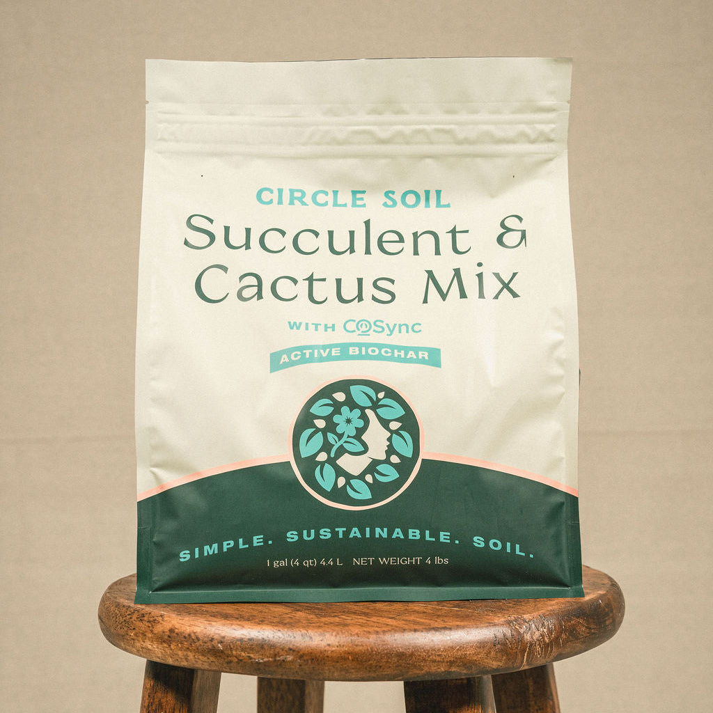 Succulent and Cactus Mix [4 qt.]