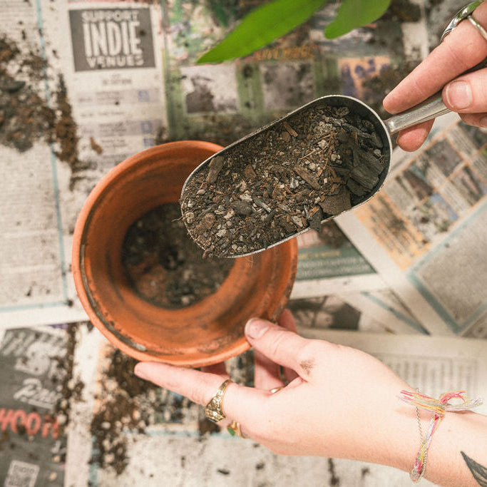 Houseplant Potting Mix [4qt.]