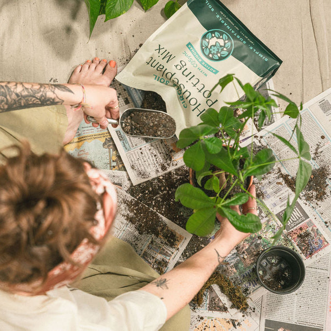 Houseplant Potting Mix [4qt.]
