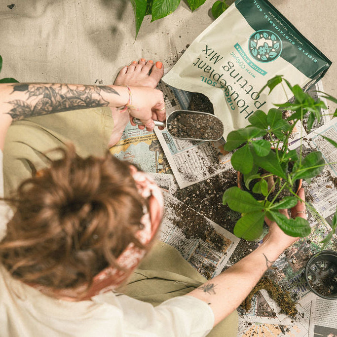 Houseplant Potting Mix - Cubic Foot Box