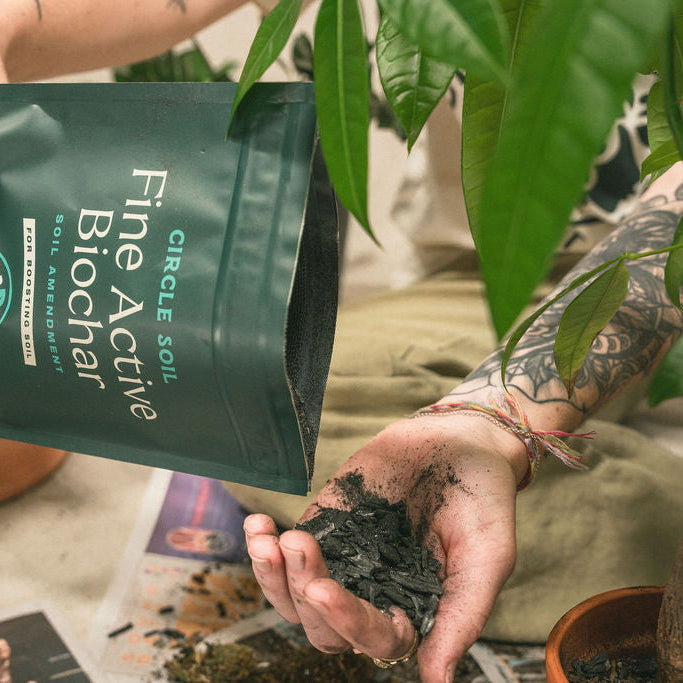 Fine Biochar – [1 quart]