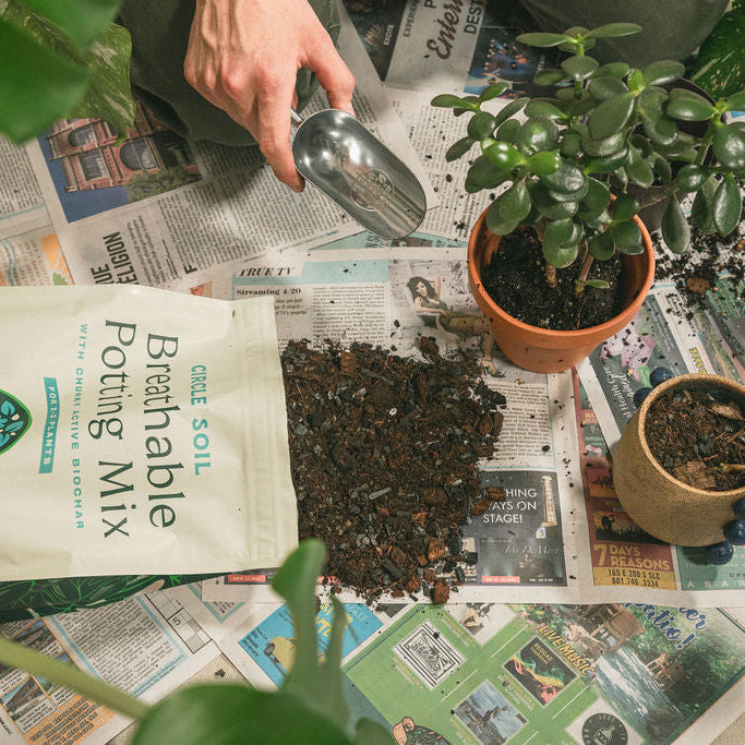 Breathable Potting Mix [4 qt.]