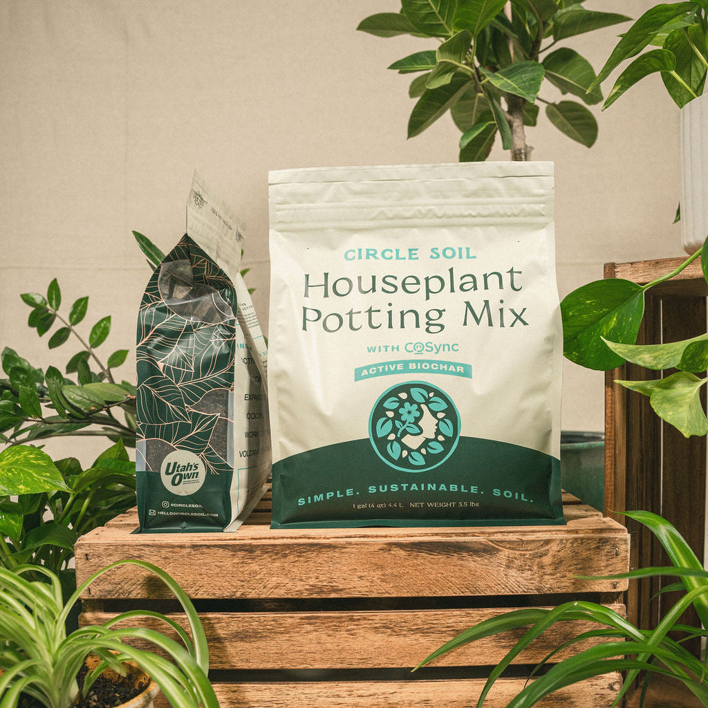 Houseplant Potting Mix [4qt.]