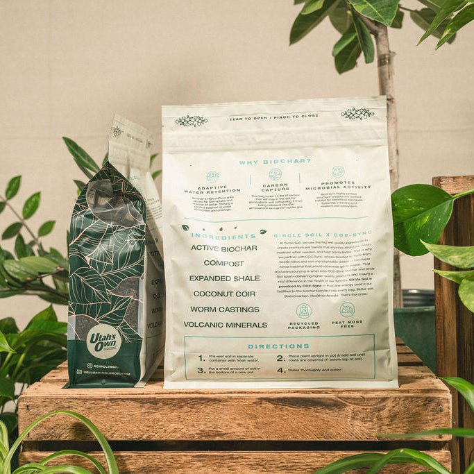 Houseplant Potting Mix [4qt.]