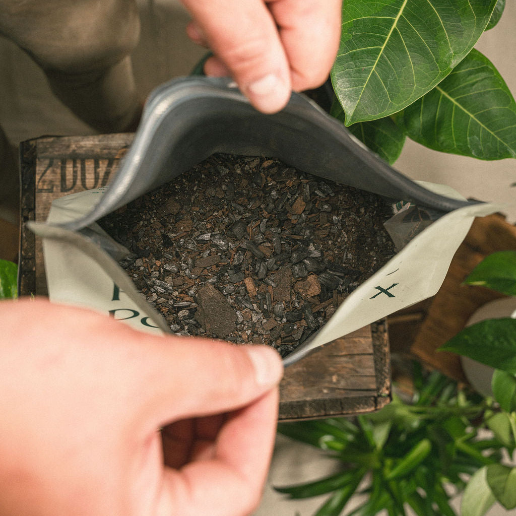 Houseplant Potting Soil [8 qt.]