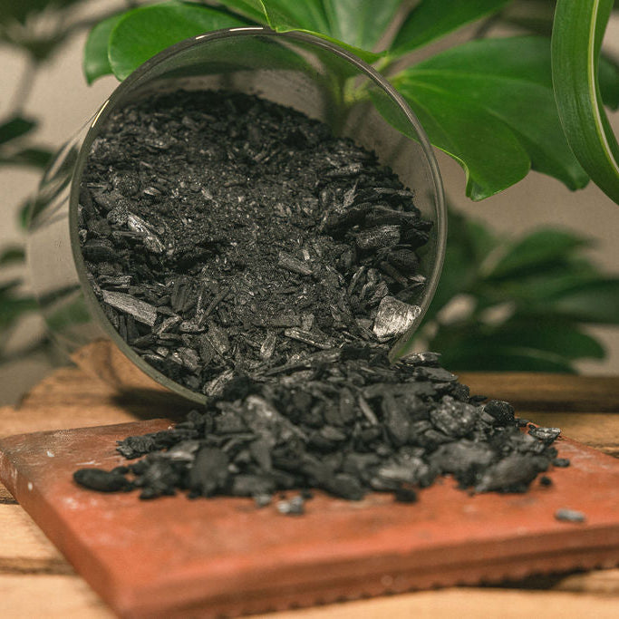 Fine Biochar – [1 quart]