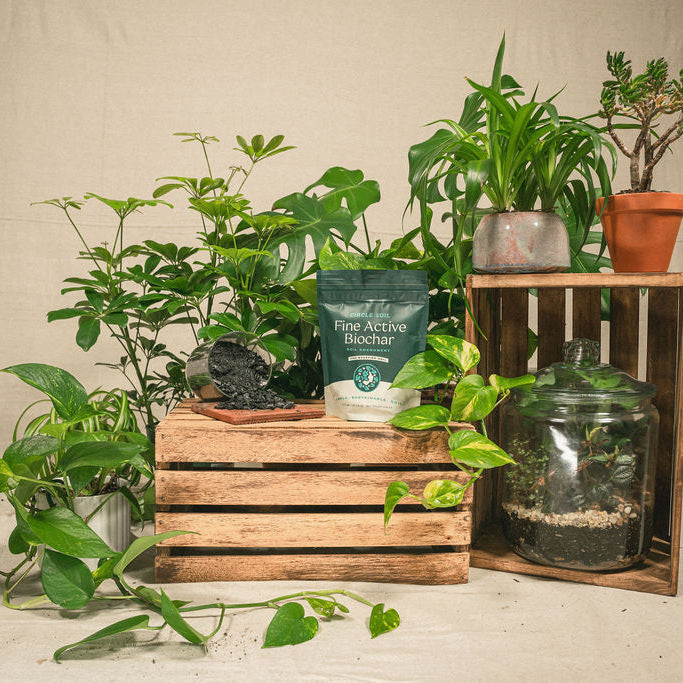 Fine Biochar – [1 quart]