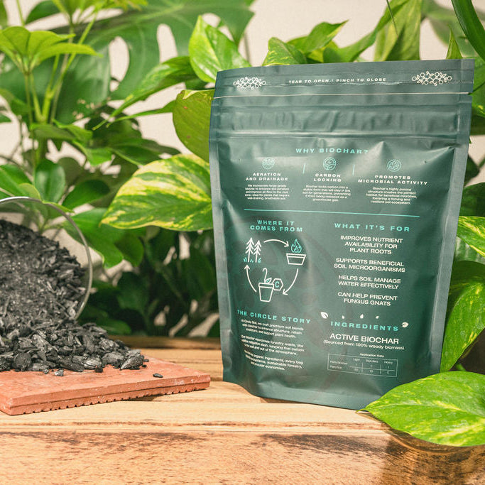 Fine Biochar – [1 quart]