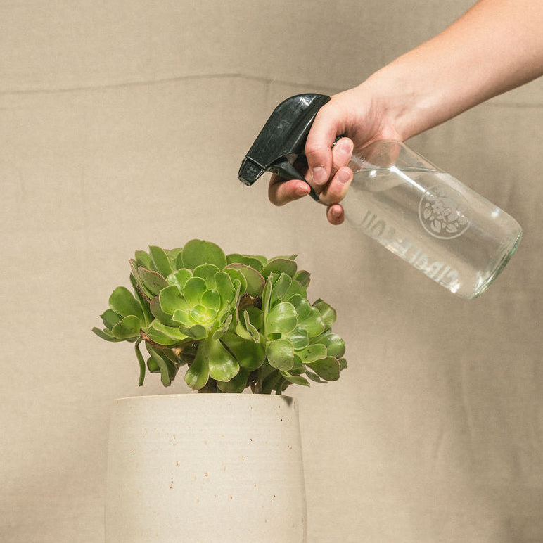 Glass Spray Bottle